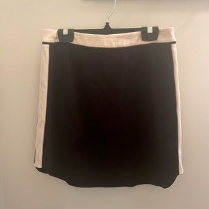 Aritzia skirt